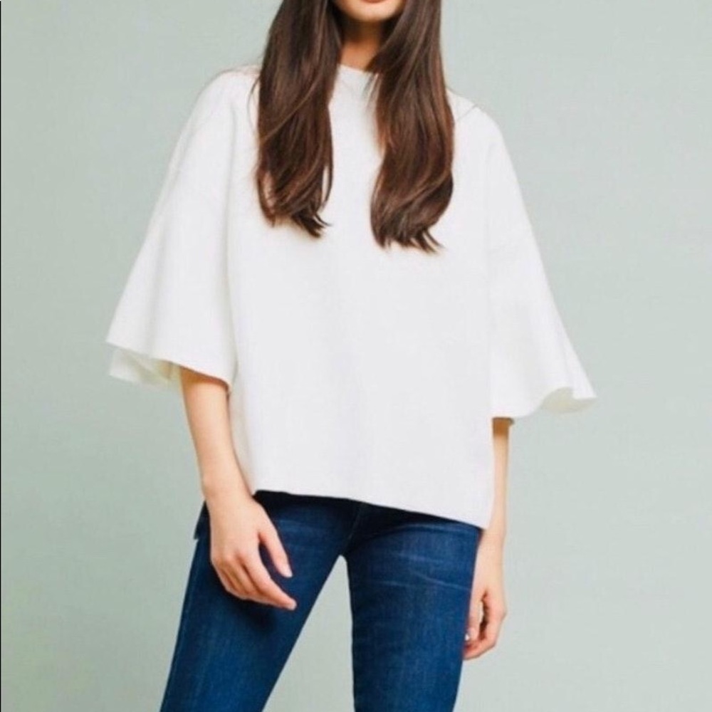 Sunday in Brooklyn Flutter Sleeve Sweater Size S
